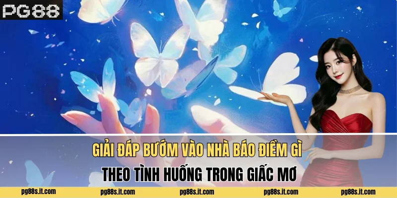 Giải đáp bướm vào nhà báo điềm gì theo tình huống trong giấc mơ