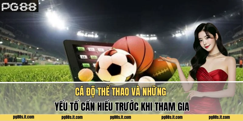 Cá độ thể thao và những yếu tố cần hiểu trước khi tham gia