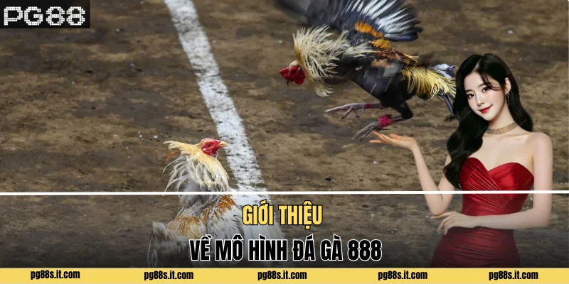 Giới thiệu về mô hình đá gà 888
