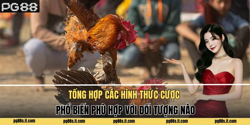 Tổng hợp các hình thức cược phổ biến phù hợp với đối tượng nào