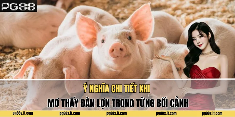 Ý nghĩa chi tiết khi mơ thấy đàn lợn trong từng bối cảnh