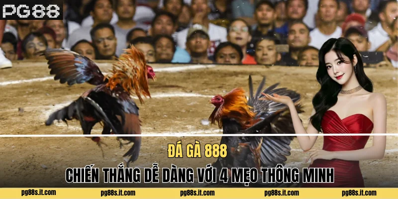 Đá Gà 888 - Chiến Thắng Dễ Dàng Với 4 Mẹo Thông Minh