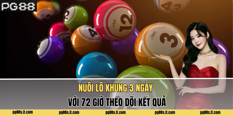 Nuôi Lô Khung 3 Ngày Với 72 Giờ Theo Dõi Kết Quả